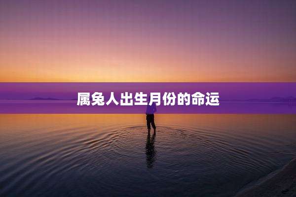 属兔人出生月份的命运