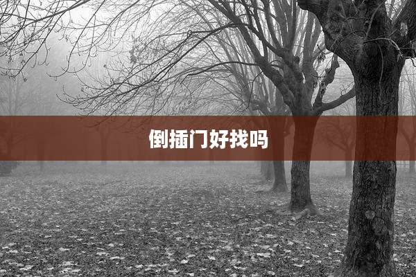 倒插门好找吗