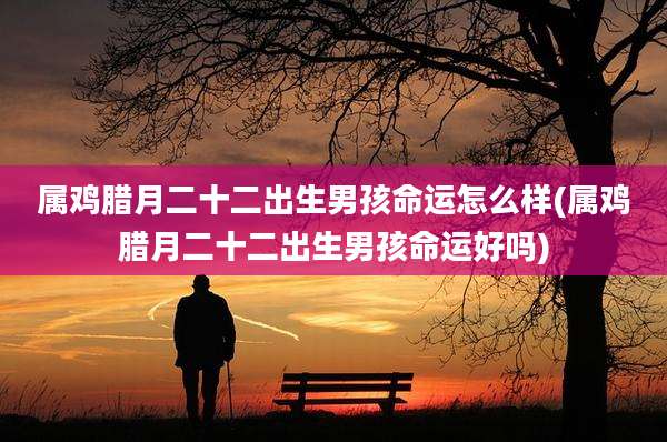属鸡腊月二十二出生男孩命运怎么样(属鸡腊月二十二出生男孩命运好吗)
