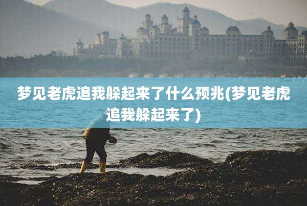 梦见老虎追我躲起来了什么预兆(梦见老虎追我躲起来了)