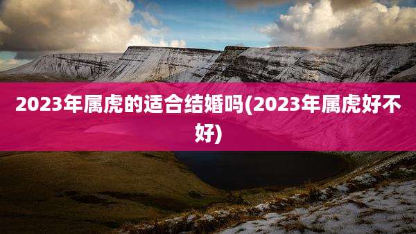 2023年属虎的适合结婚吗(2023年属虎好不好)