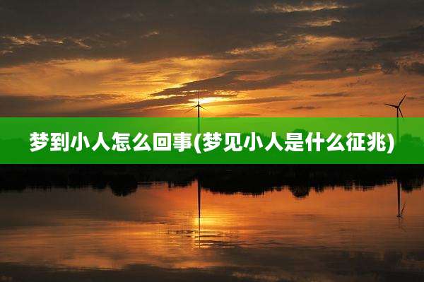 梦到小人怎么回事(梦见小人是什么征兆)