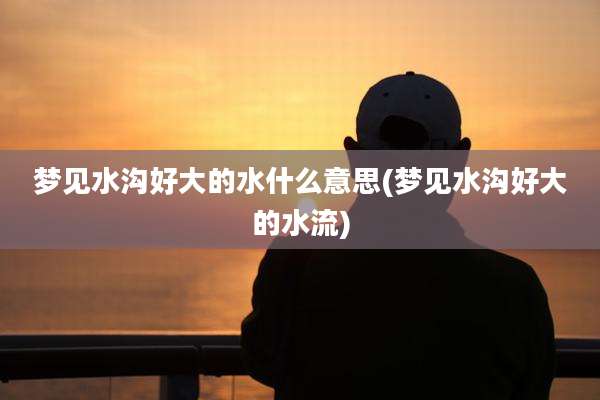 梦见水沟好大的水什么意思(梦见水沟好大的水流)