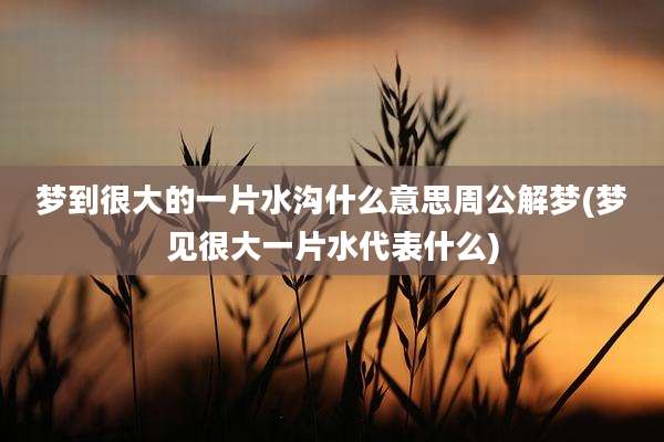 梦到很大的一片水沟什么意思周公解梦(梦见很大一片水代表什么)