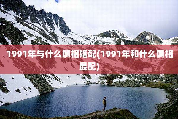 1991年与什么属相婚配(1991年和什么属相最配)