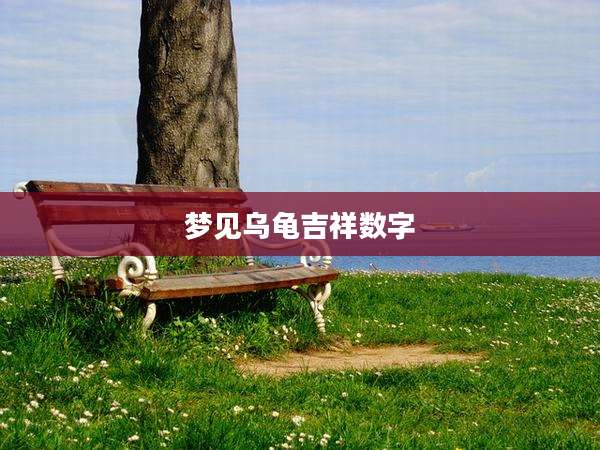 梦见乌龟吉祥数字