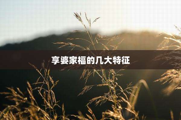 享婆家福的几大特征