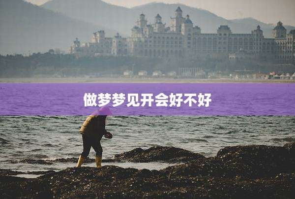 做梦梦见开会好不好