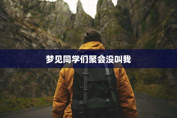 梦见同学们聚会没叫我