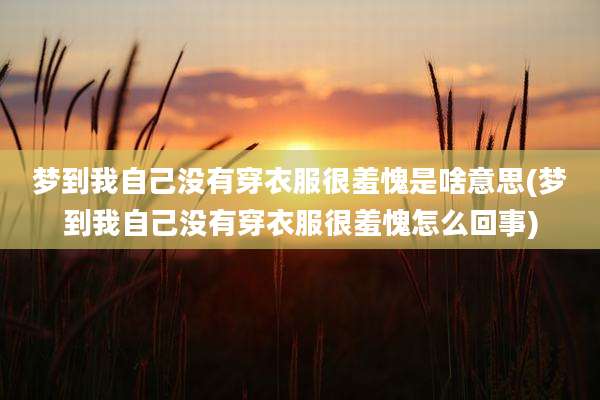 梦到我自己没有穿衣服很羞愧是啥意思(梦到我自己没有穿衣服很羞愧怎么回事)