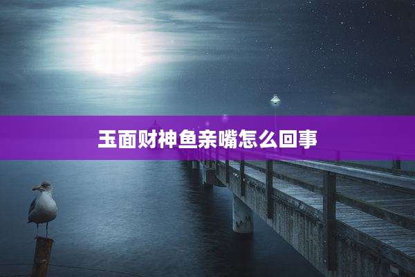 玉面财神鱼亲嘴怎么回事