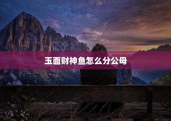 玉面财神鱼怎么分公母