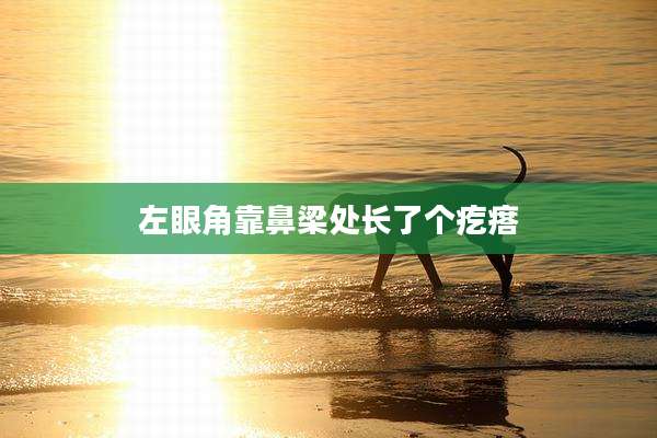 左眼角靠鼻梁处长了个疙瘩