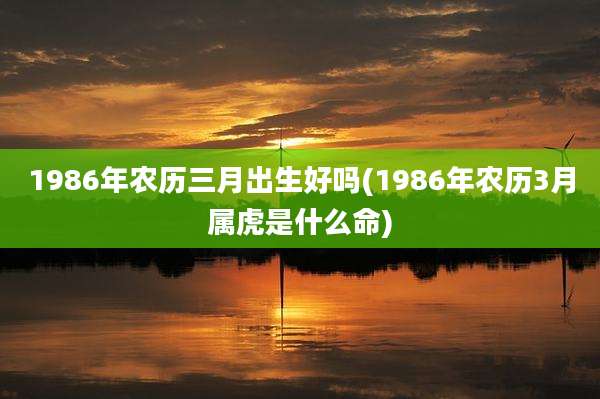 1986年农历三月出生好吗(1986年农历3月属虎是什么命)