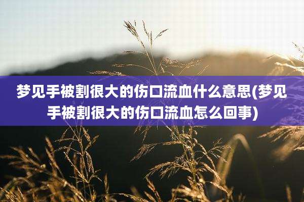 梦见手被割很大的伤口流血什么意思(梦见手被割很大的伤口流血怎么回事)