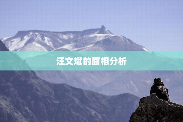 汪文斌的面相分析