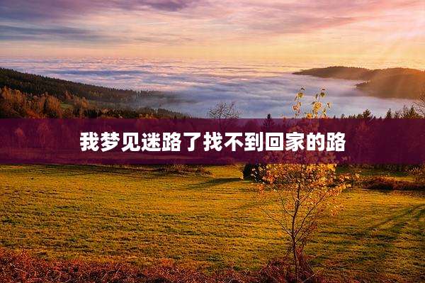 我梦见迷路了找不到回家的路