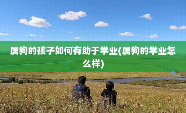 属狗的孩子如何有助于学业(属狗的学业怎么样)