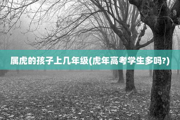 属虎的孩子上几年级(虎年高考学生多吗?)