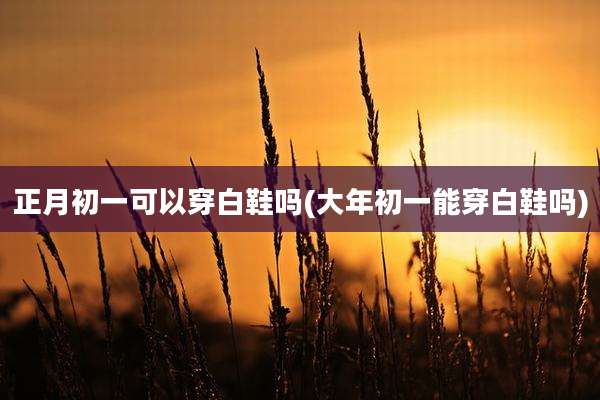 正月初一可以穿白鞋吗(大年初一能穿白鞋吗)