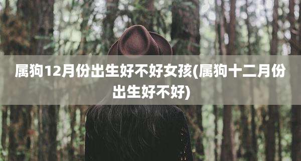 属狗12月份出生好不好女孩(属狗十二月份出生好不好)