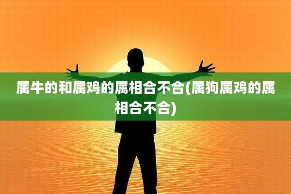 属牛的和属鸡的属相合不合(属狗属鸡的属相合不合)