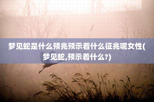 梦见蛇是什么预兆预示着什么征兆呢女性(梦见蛇,预示着什么?)