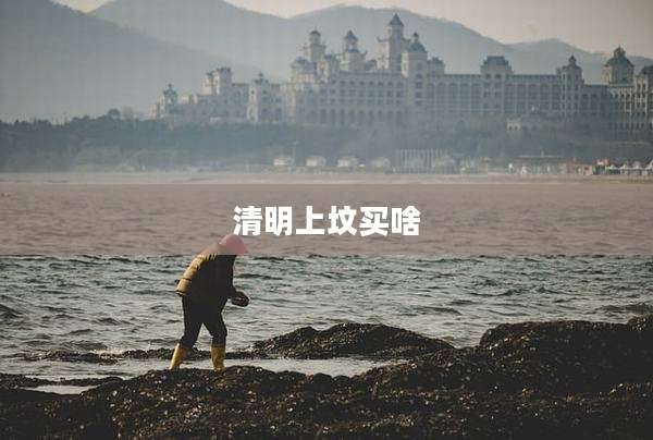 清明上坟买啥