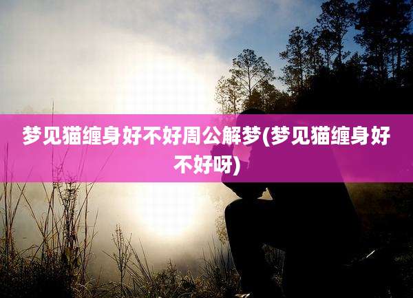 梦见猫缠身好不好周公解梦(梦见猫缠身好不好呀)