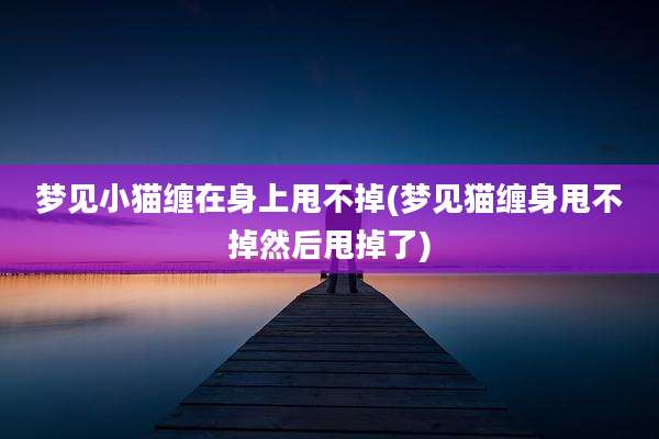 梦见小猫缠在身上甩不掉(梦见猫缠身甩不掉然后甩掉了)