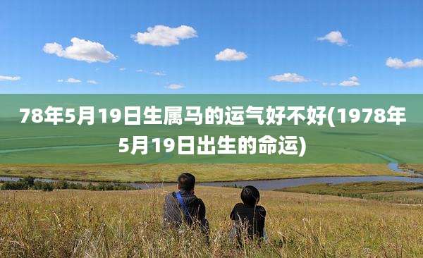 78年5月19日生属马的运气好不好(1978年5月19日出生的命运)