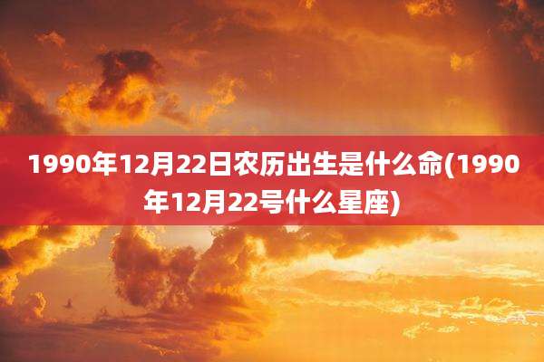 1990年12月22日农历出生是什么命(1990年12月22号什么星座)