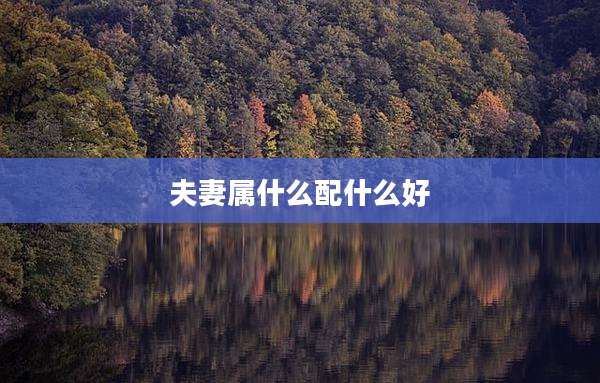 夫妻属什么配什么好