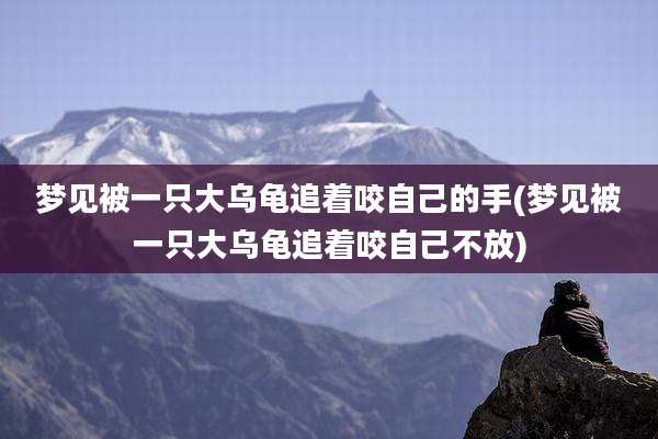 梦见被一只大乌龟追着咬自己的手(梦见被一只大乌龟追着咬自己不放)