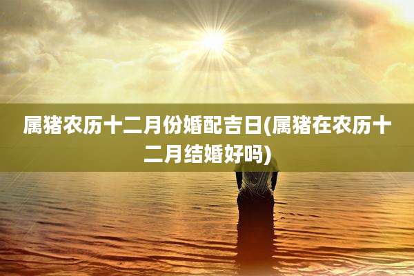 属猪农历十二月份婚配吉日(属猪在农历十二月结婚好吗)