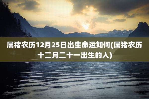 属猪农历12月25日出生命运如何(属猪农历十二月二十一出生的人)