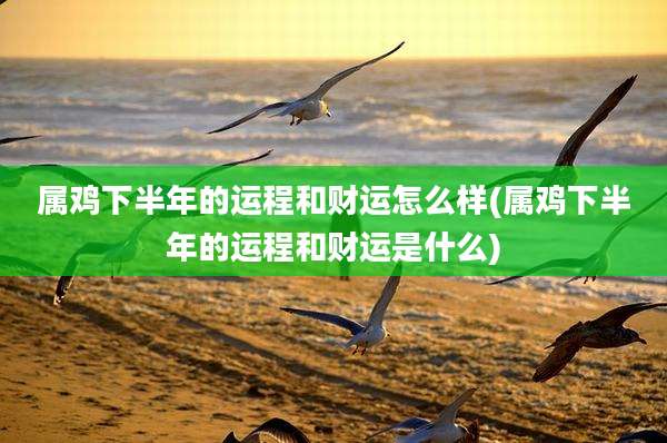属鸡下半年的运程和财运怎么样(属鸡下半年的运程和财运是什么)
