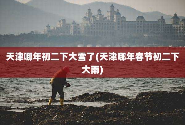 天津哪年初二下大雪了(天津哪年春节初二下大雨)