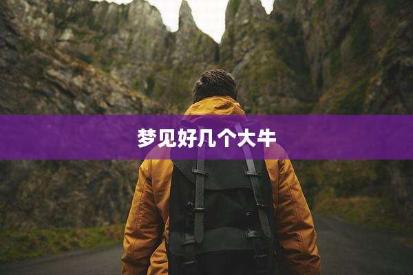 梦见好几个大牛