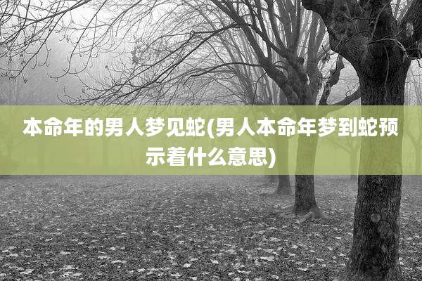 本命年的男人梦见蛇(男人本命年梦到蛇预示着什么意思)