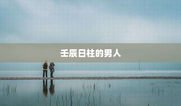 壬辰日柱的男人