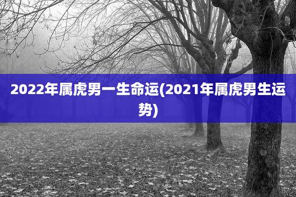 2022年属虎男一生命运(2021年属虎男生运势)