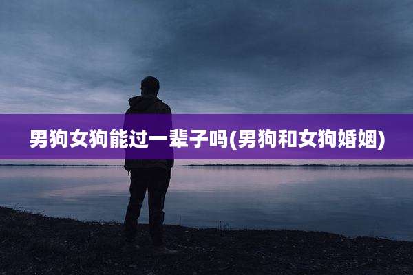 男狗女狗能过一辈子吗(男狗和女狗婚姻)
