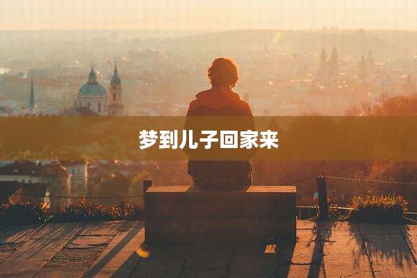 梦到儿子回家来