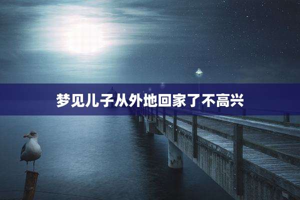 梦见儿子从外地回家了不高兴