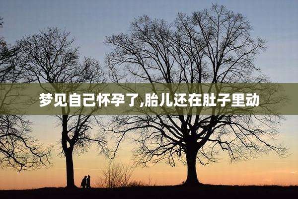 梦见自己怀孕了,胎儿还在肚子里动