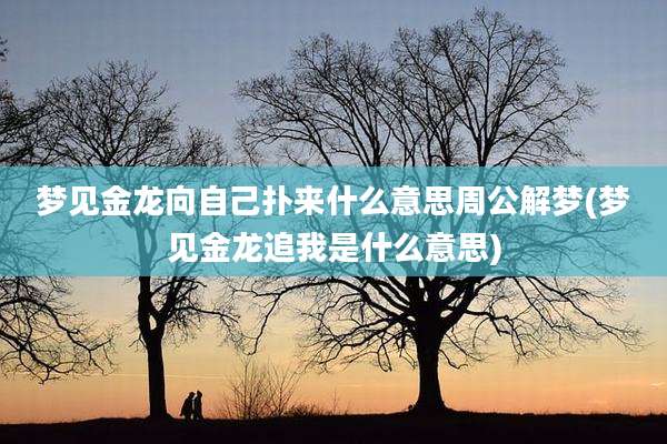 梦见金龙向自己扑来什么意思周公解梦(梦见金龙追我是什么意思)