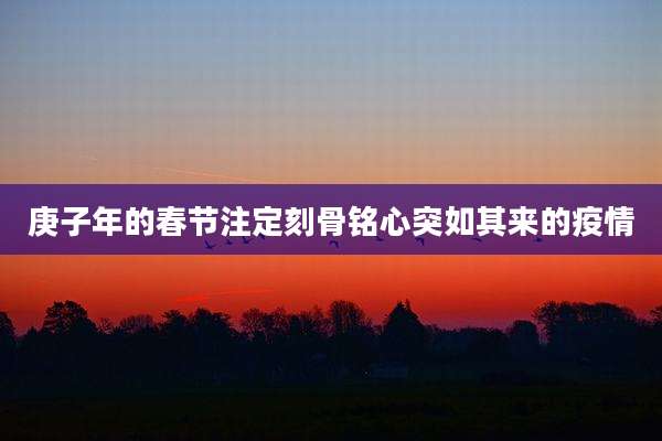 庚子年的春节注定刻骨铭心突如其来的疫情