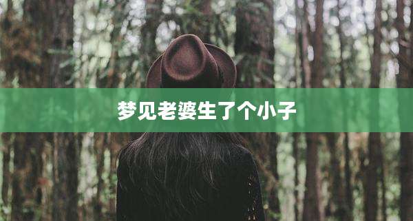 梦见老婆生了个小子