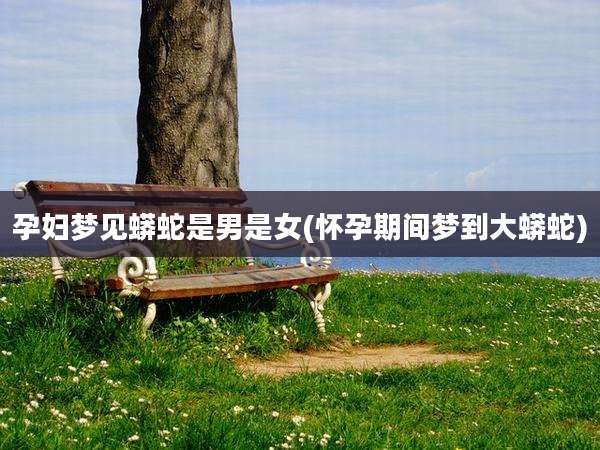 孕妇梦见蟒蛇是男是女(怀孕期间梦到大蟒蛇)